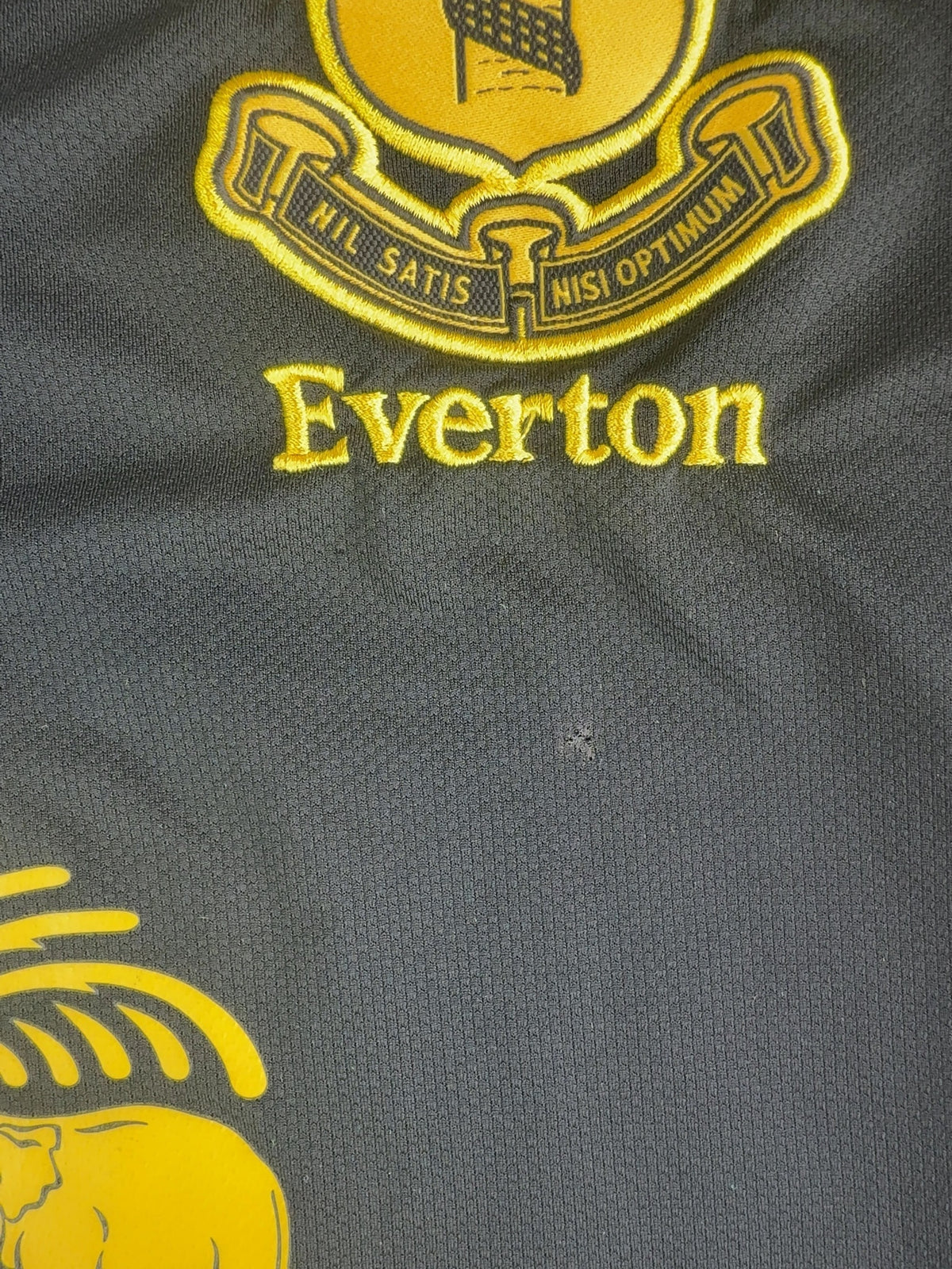 Nikica Jelavić Everton 12/13 - M · detalje