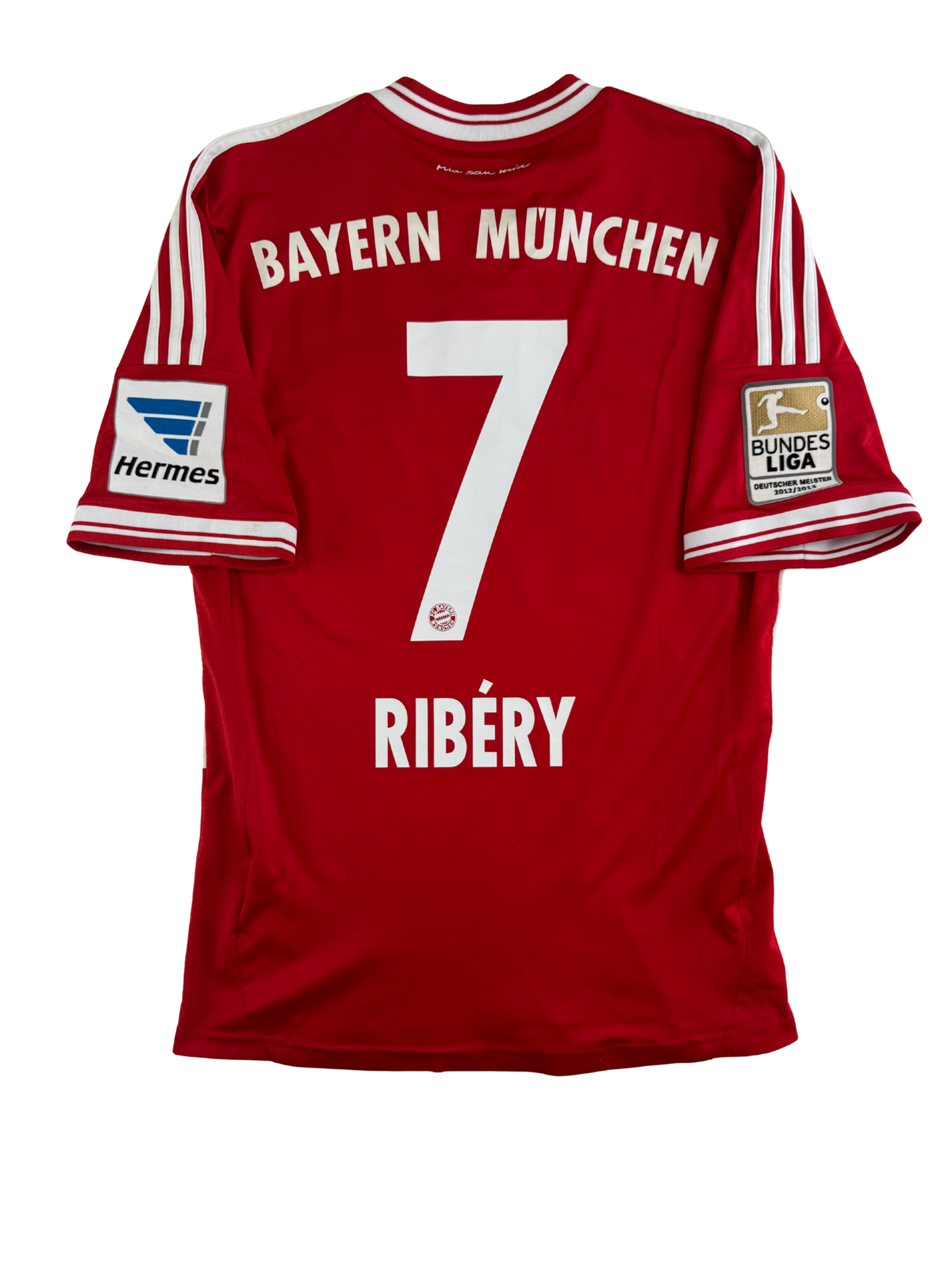 Franck Ribéry Bayern München 13/14 - S