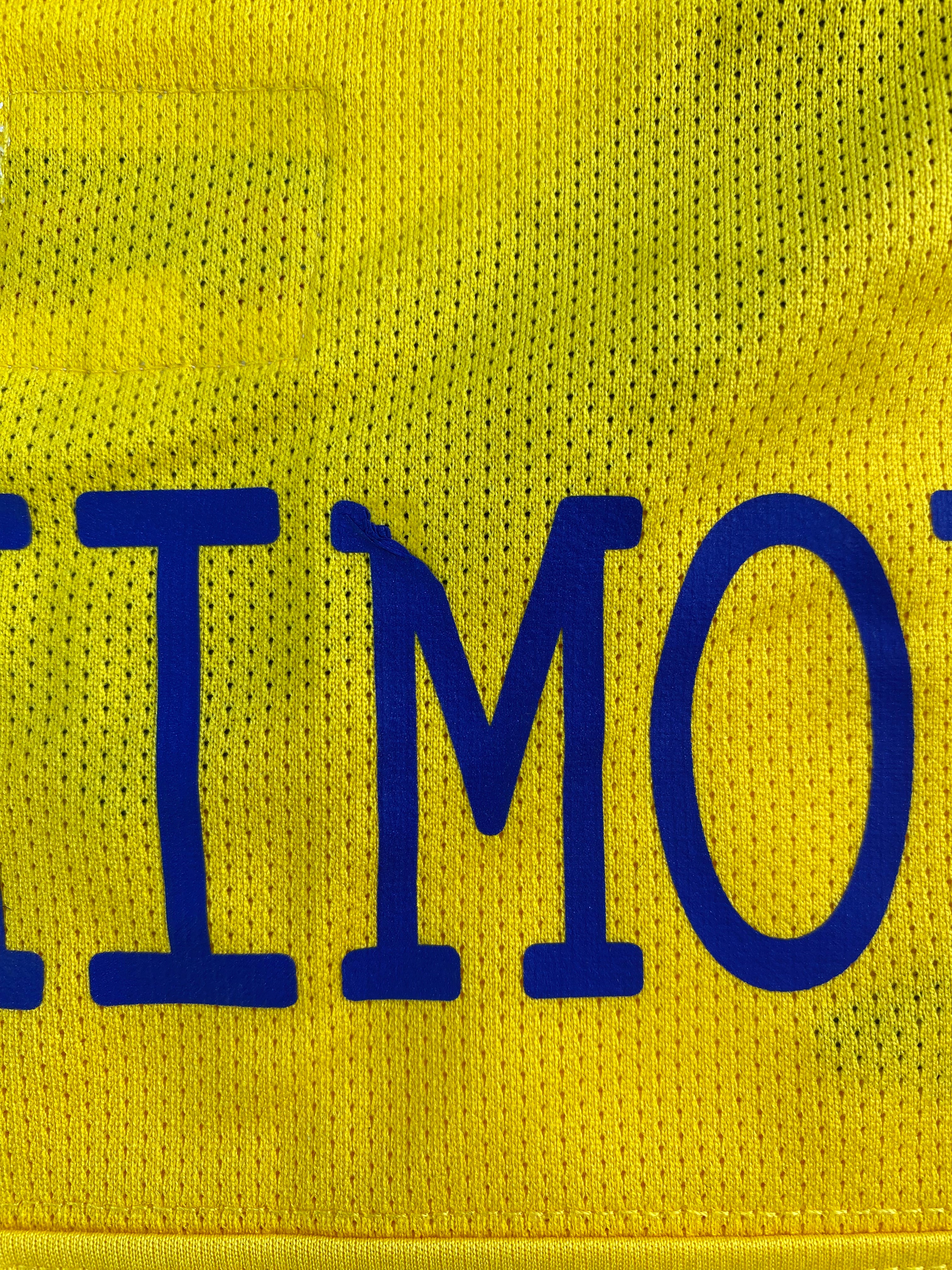 Zlatan Ibrahimovic Sverige 10/11 - L
