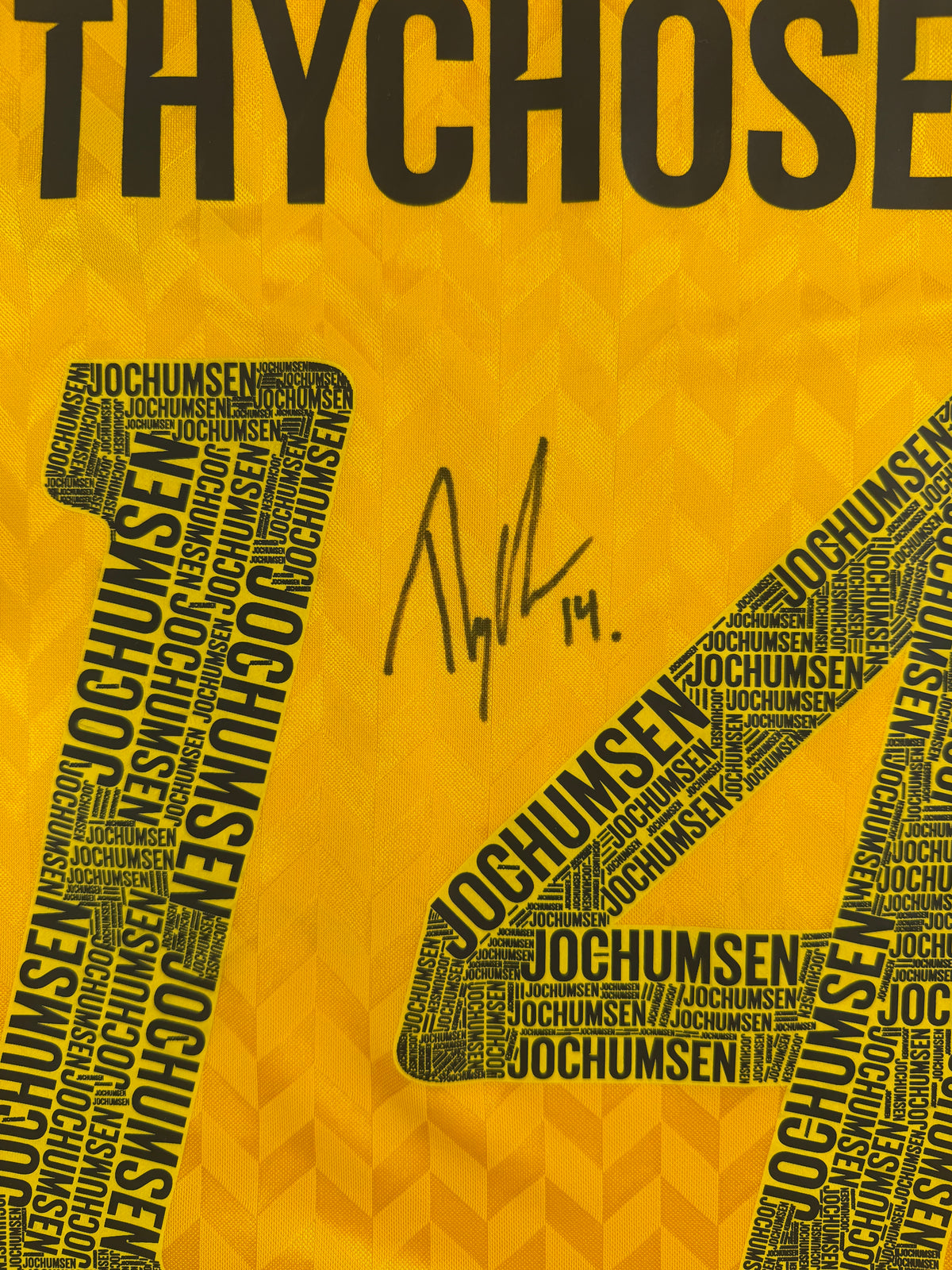 Jacob Thychosen AC Horsens Jubilæumskamp Signed + Matchworn