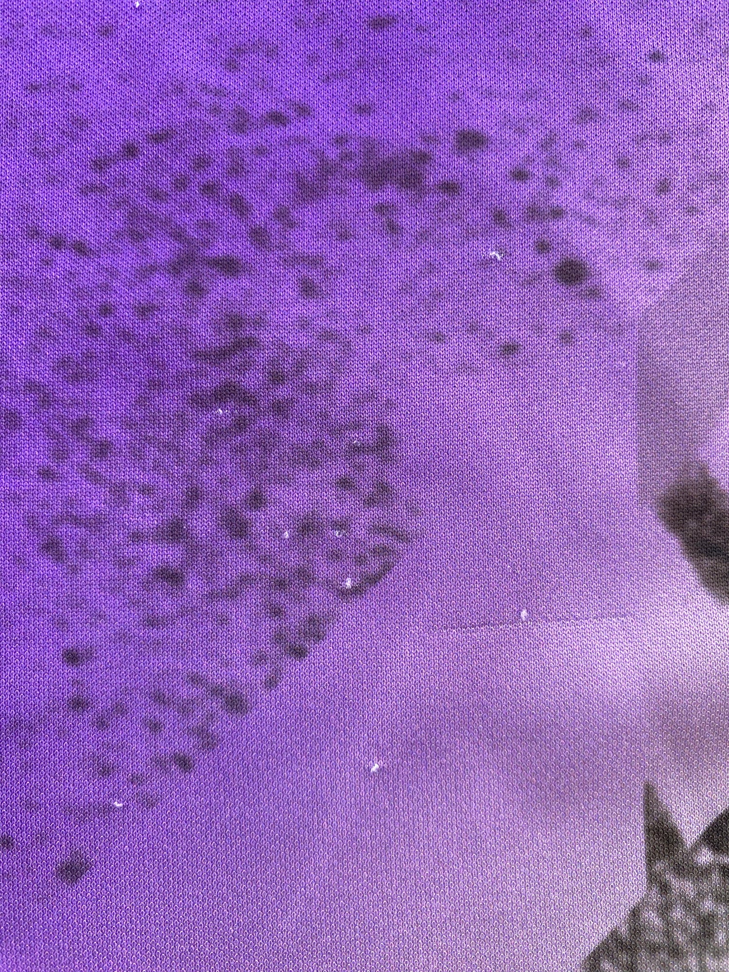 Harry Kane Tottenham Hotspur 21/22 - M