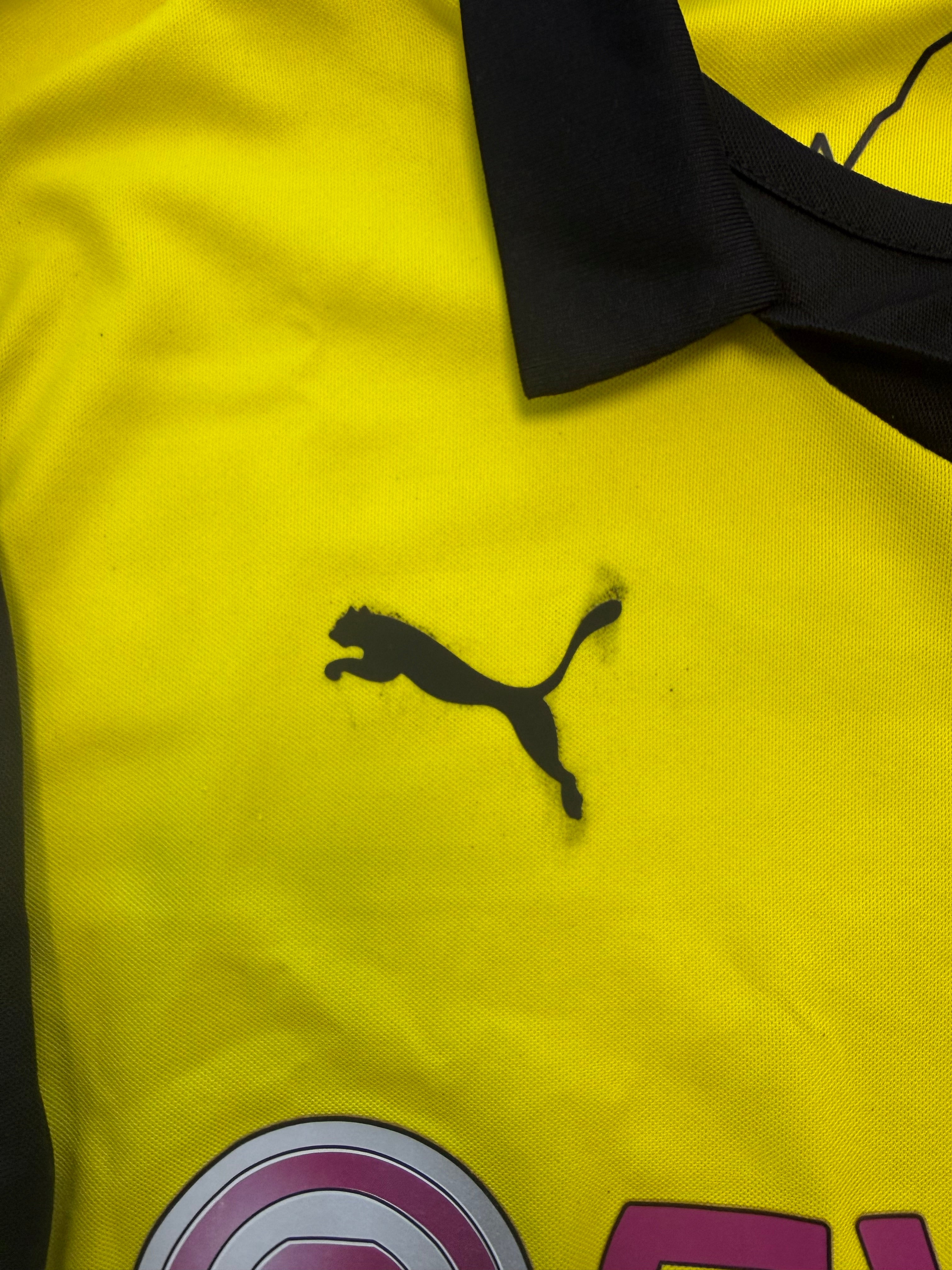 Robert Lewandowski Dortmund 13/14 - L