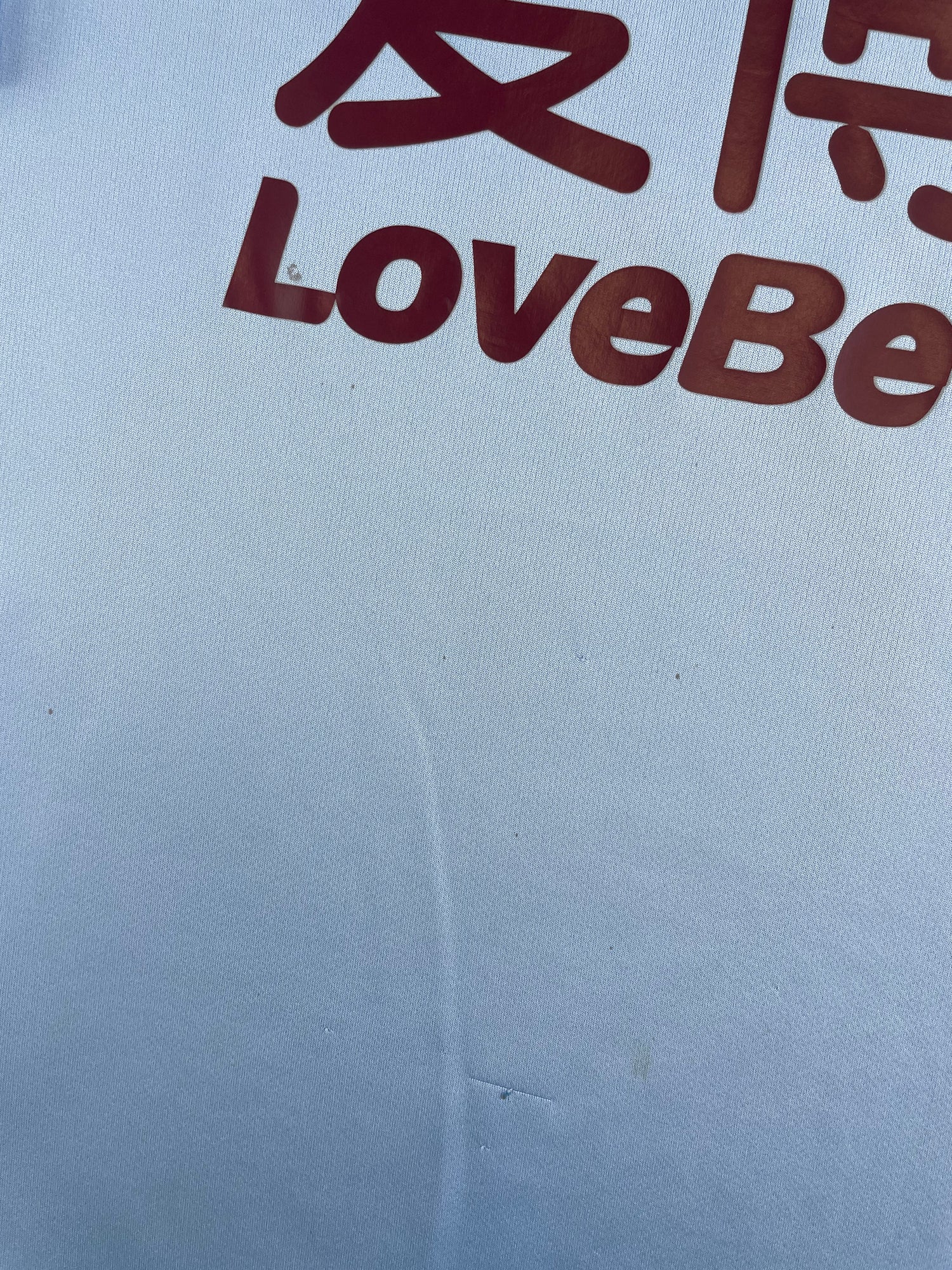 Chris Wood Burnley 19/20 - L