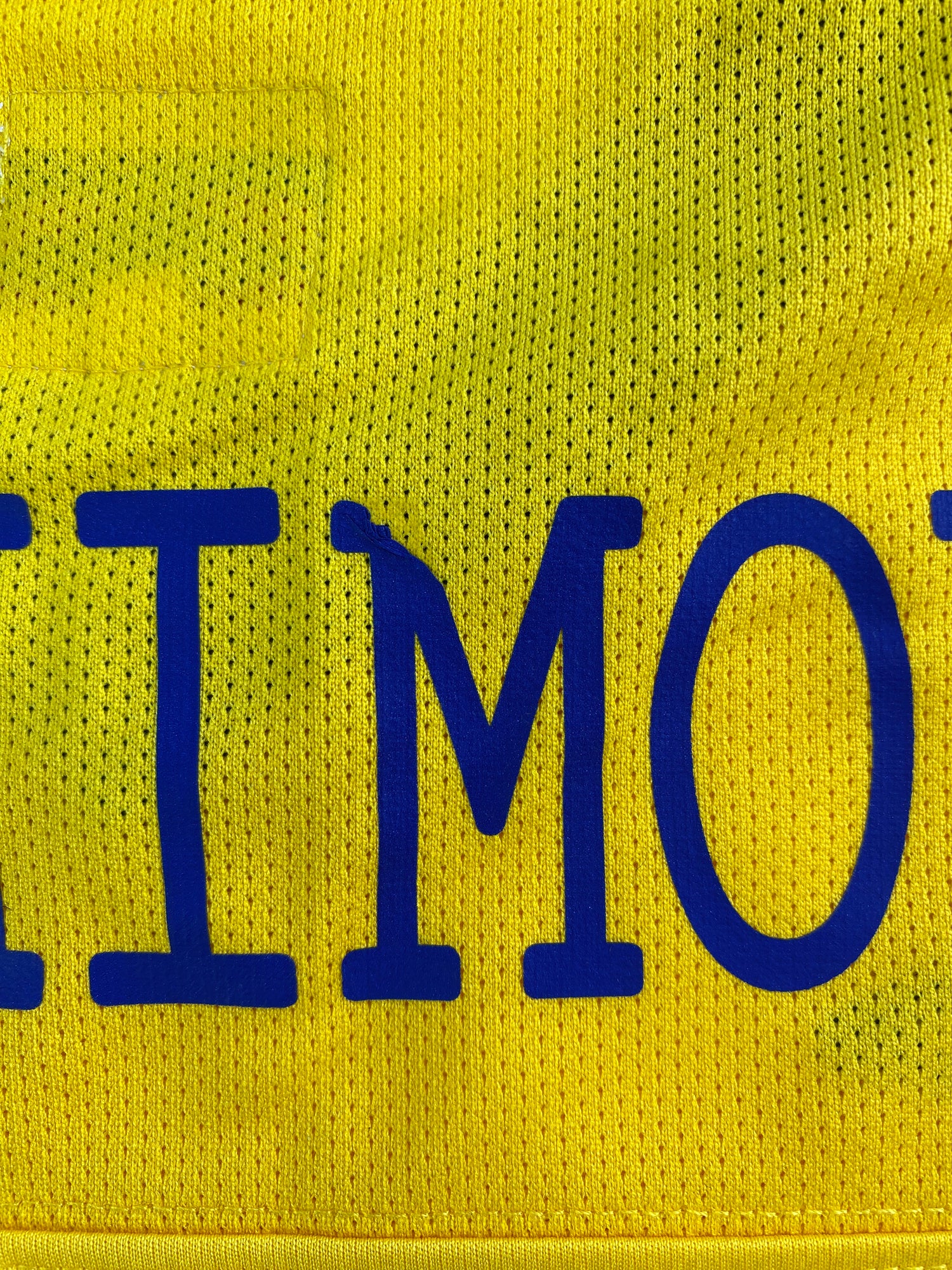 Zlatan Ibrahimovic Sverige 10/11 - L