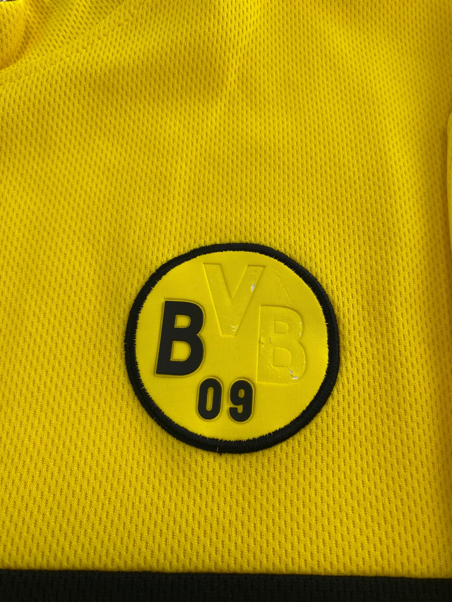 Dortmund 02/03 hjemme - L