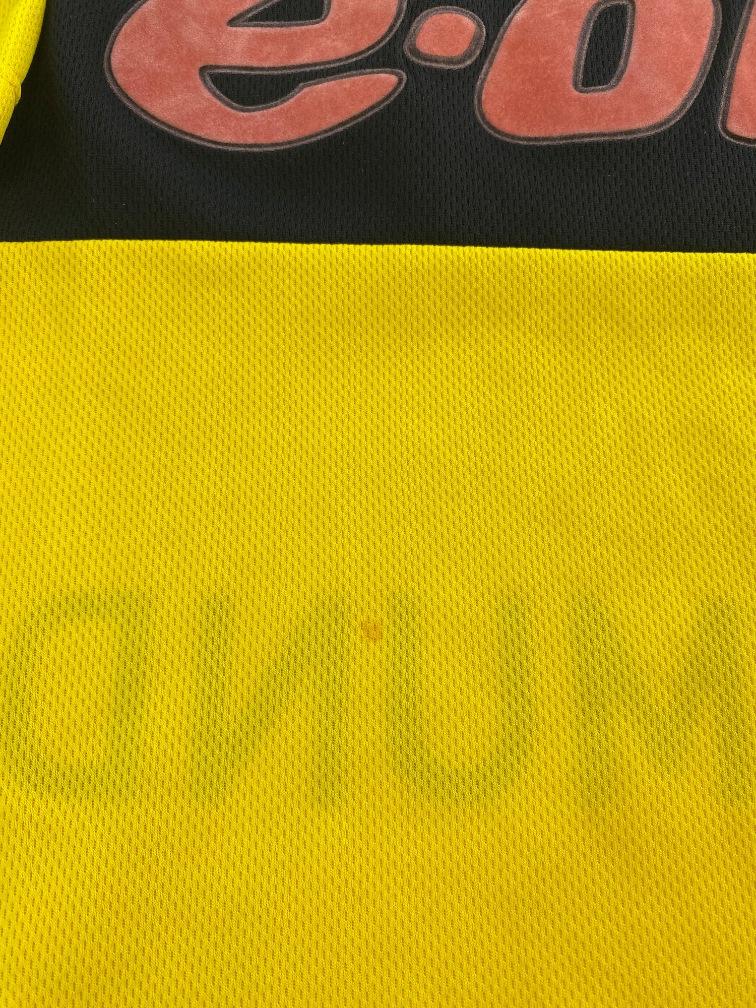 Dortmund 02/03 hjemme - L